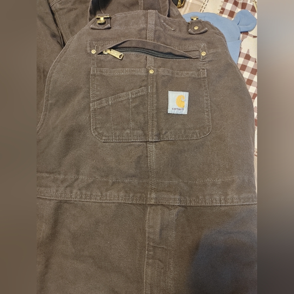Carhartt Men's Brown Work Pants